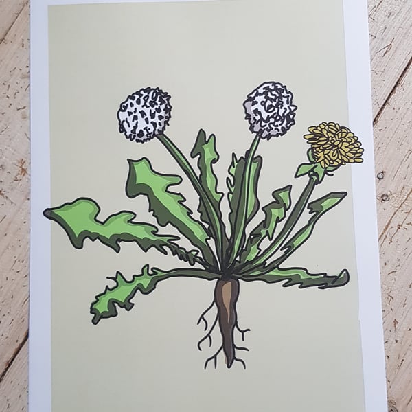 Dandelion A4 digital print with border