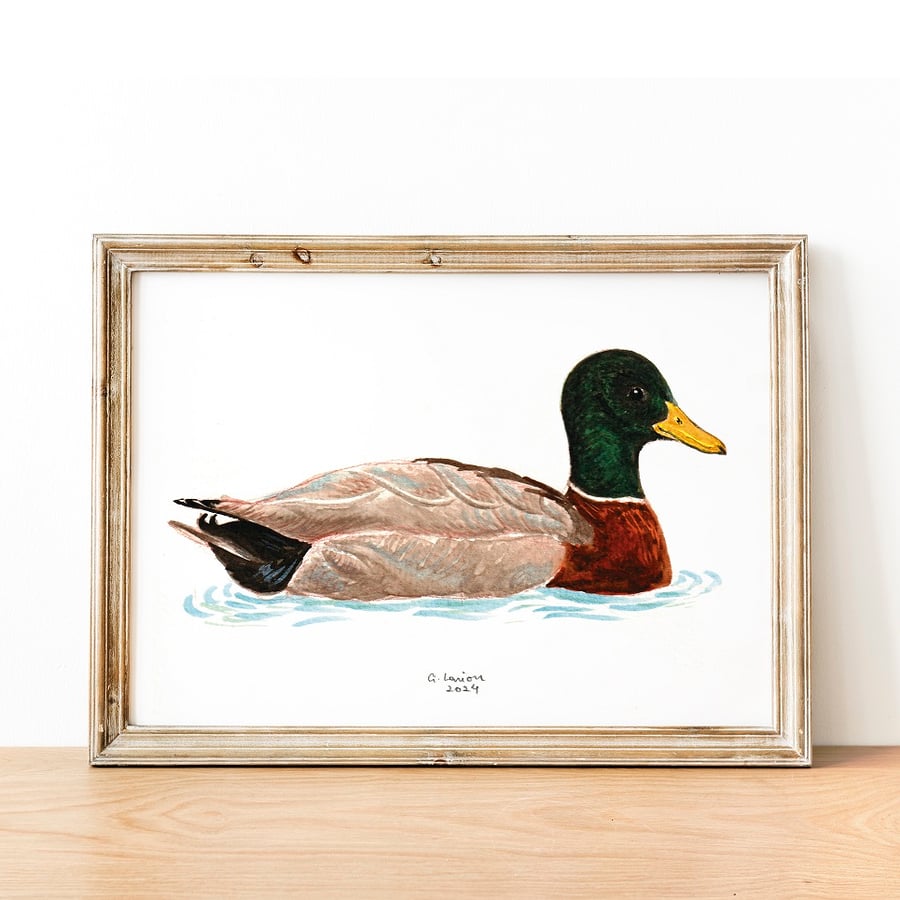 Mallard A5 Inkjet Print