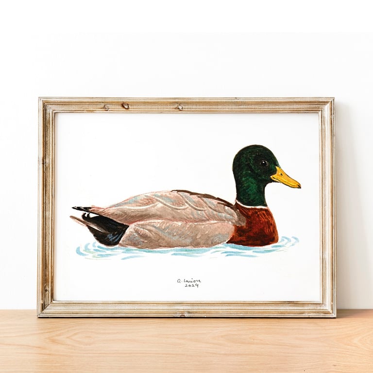 Mallard A5 Inkjet Print