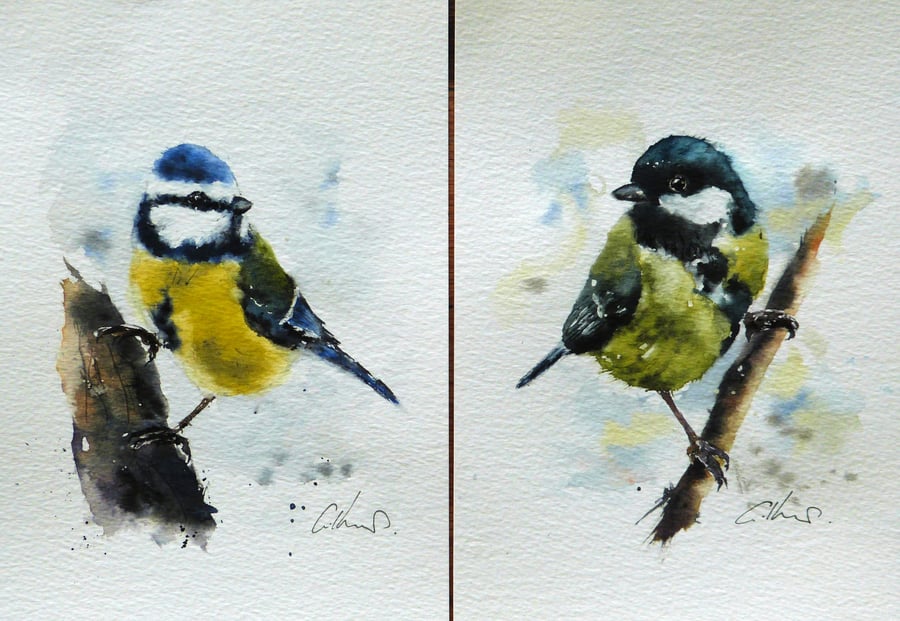 Great Tit & Blue Tit, Original Watercolour Paintings. Commission. 