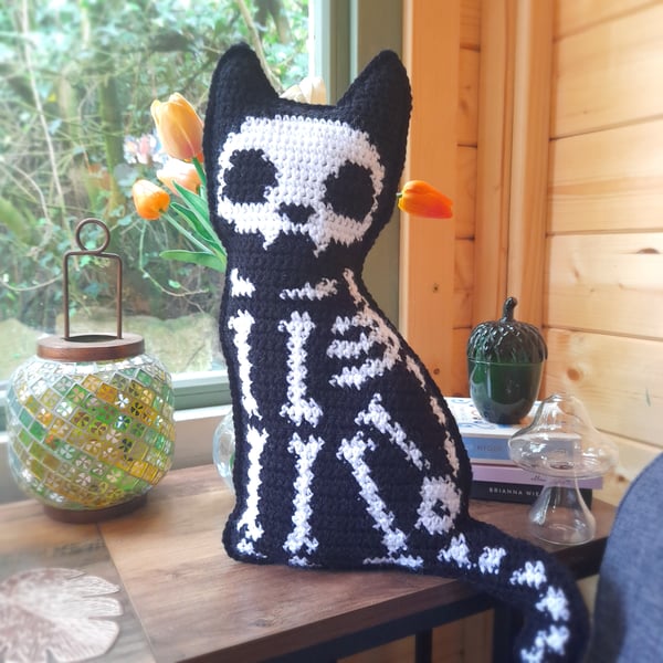 Schrodinger's Cat Crochet Mini Cushion