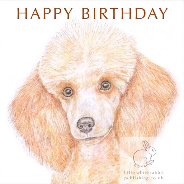 Blanche the Poodle - Birthday Card