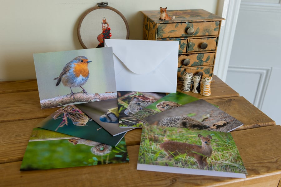 Wildlife card for greetings and gifts in a range of photographic subjects shown