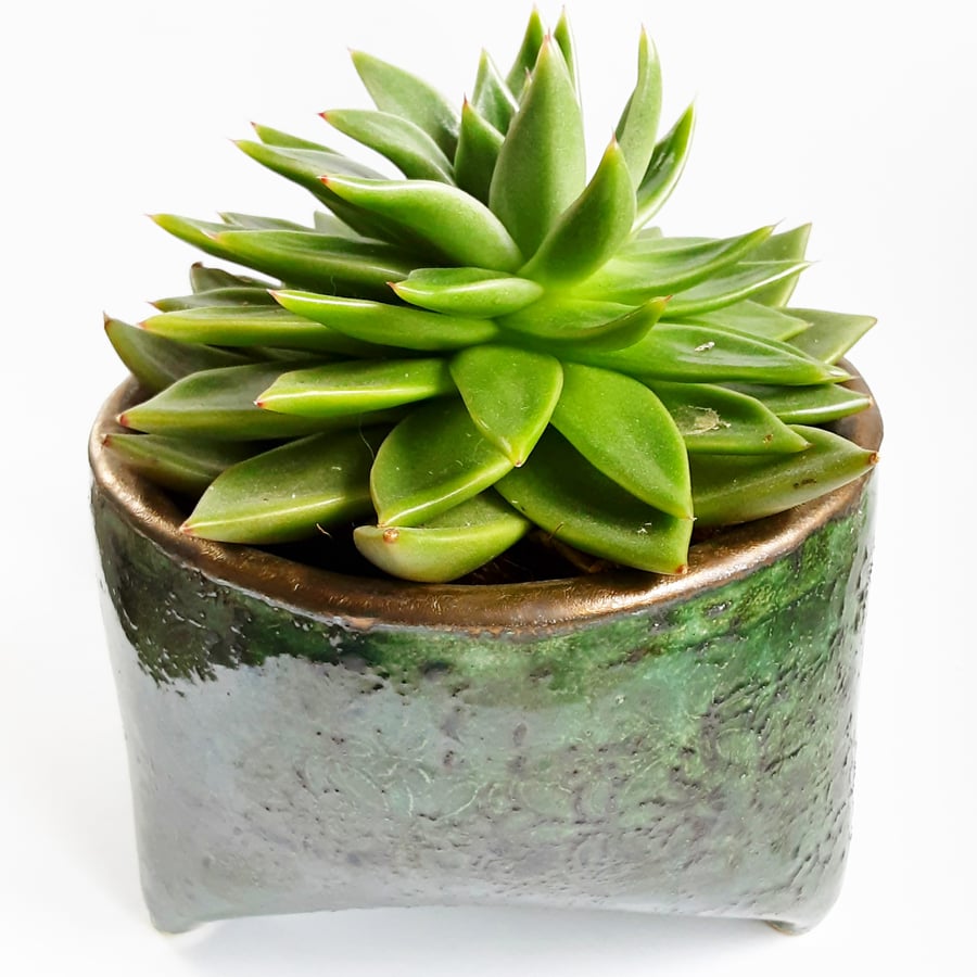 Three Legged Houseplant Holder 