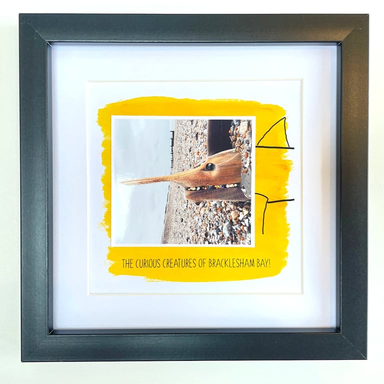 Shark; framed image, mounted and printed on card and photographic paper