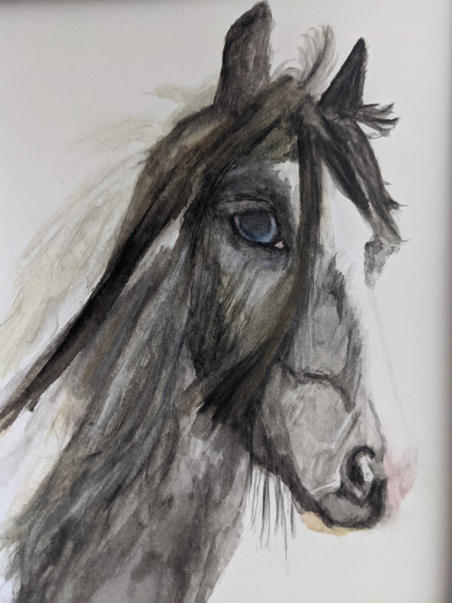 original art, one off item, watercolour painting, horse, pony