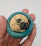 Yorkshire Pudding - Pug in Green Bed - Image 2