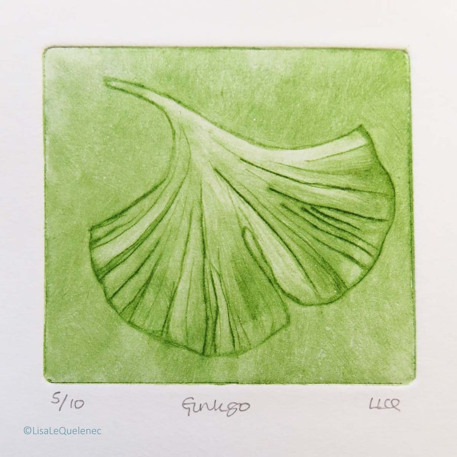 Gingko drypoint no.5 of 10 signs of spring small scale print