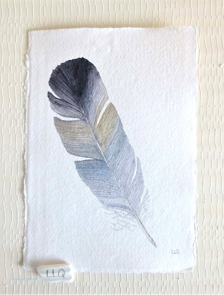 Seconds Sunday sale natural history feather watercolour illustration painting 