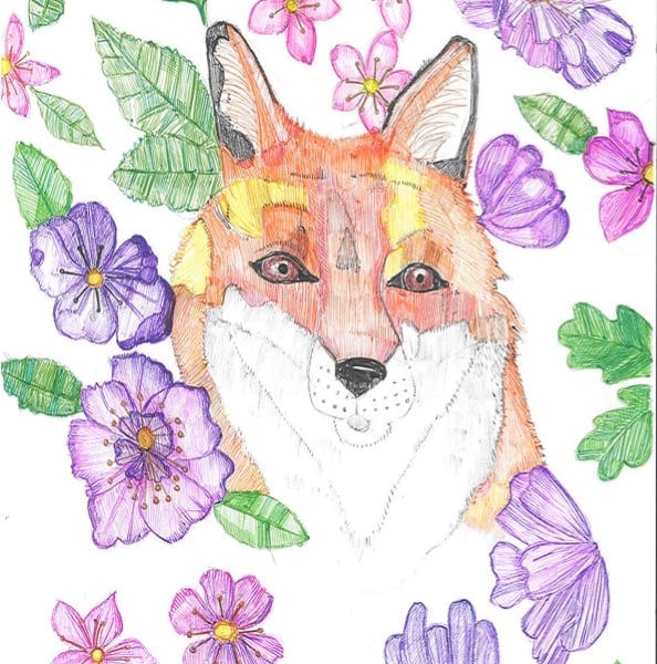 Biro fox