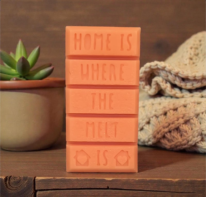 Novelty Word Wax Melt Snap Bar Handmade Soy Wax  Funny Gift Idea home 