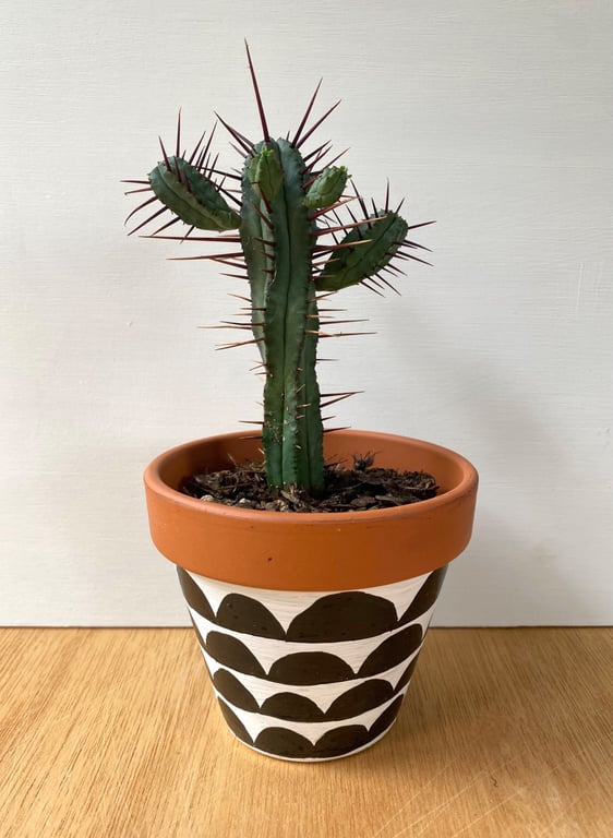 Small 9cm Plant pot, Hand painted, Unique gift, Terracotta
