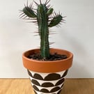 Small 9cm Plant pot, Hand painted, Unique gift, Terracotta