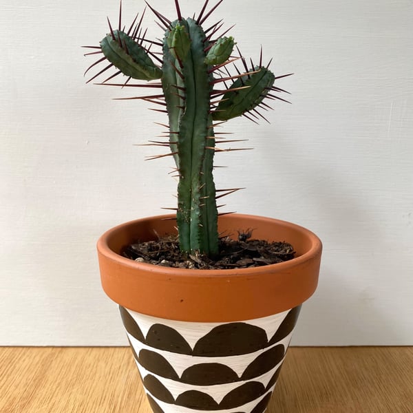 Small 9cm Plant pot, Hand painted, Unique gift, Terracotta