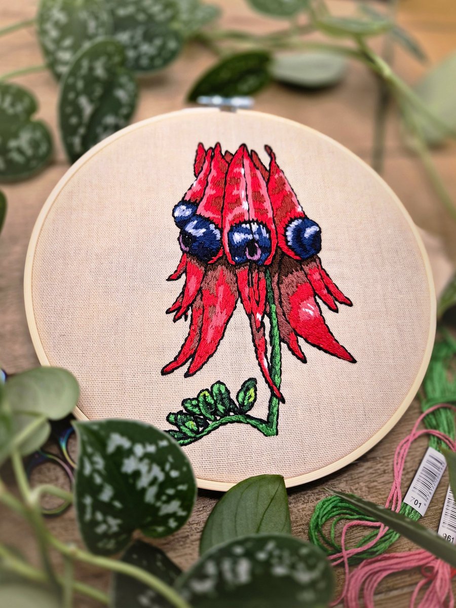 DIY Embroidery Kit: Sturt's Desert Pea Australian Floral Design
