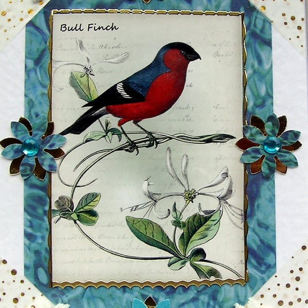 Bull Finch Garden Bird - Hand Crafted Decoupage Greeting Card - Blank - 2893