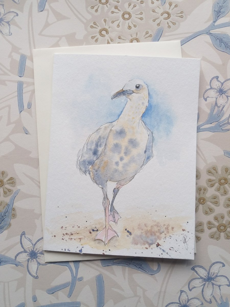 Seagull greetings card