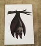 Bat Blank Greeting Card - Image 3