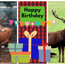 Happy Birthday Stags Photo Card A5