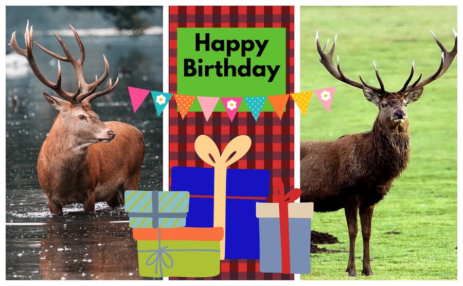 Happy Birthday Stags Photo Card A5