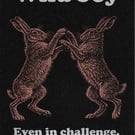 Wild Joy … Nature Wisdom (Hares)