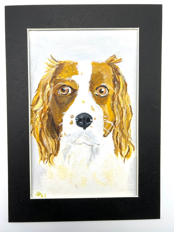 Original painting. Spaniel portrait 5x7" pet portrait 