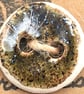 Small Ceramic buttons  - Image 9