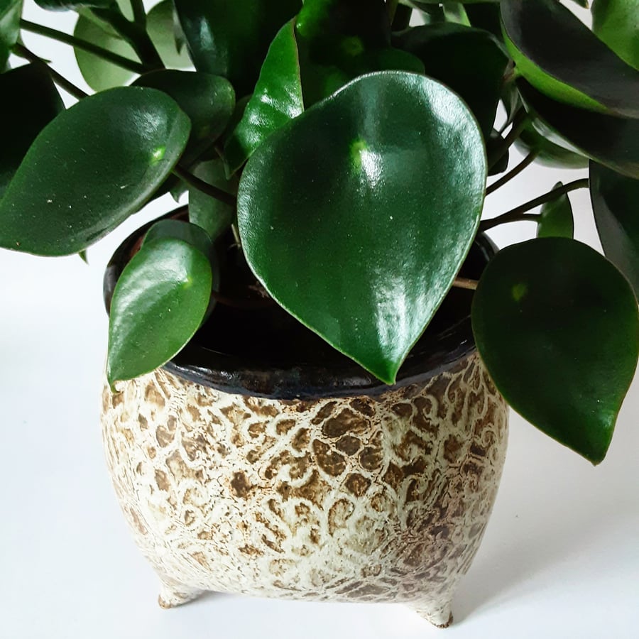 Large Three Legged Plant Pot Holder 