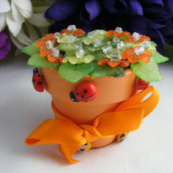 Gerbera Flower Pot