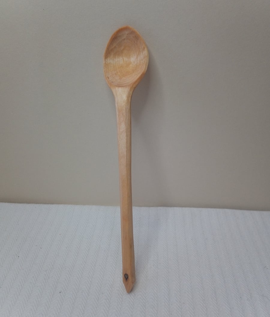 Tasting Spoon Silver Birch the Cooks Friend 