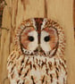 Tawny owl panel - Image 3