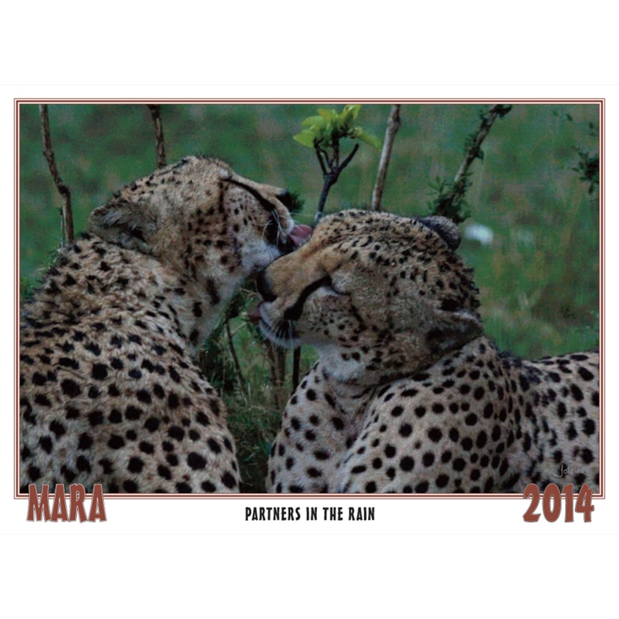 PARTNERS IN THE RAIN