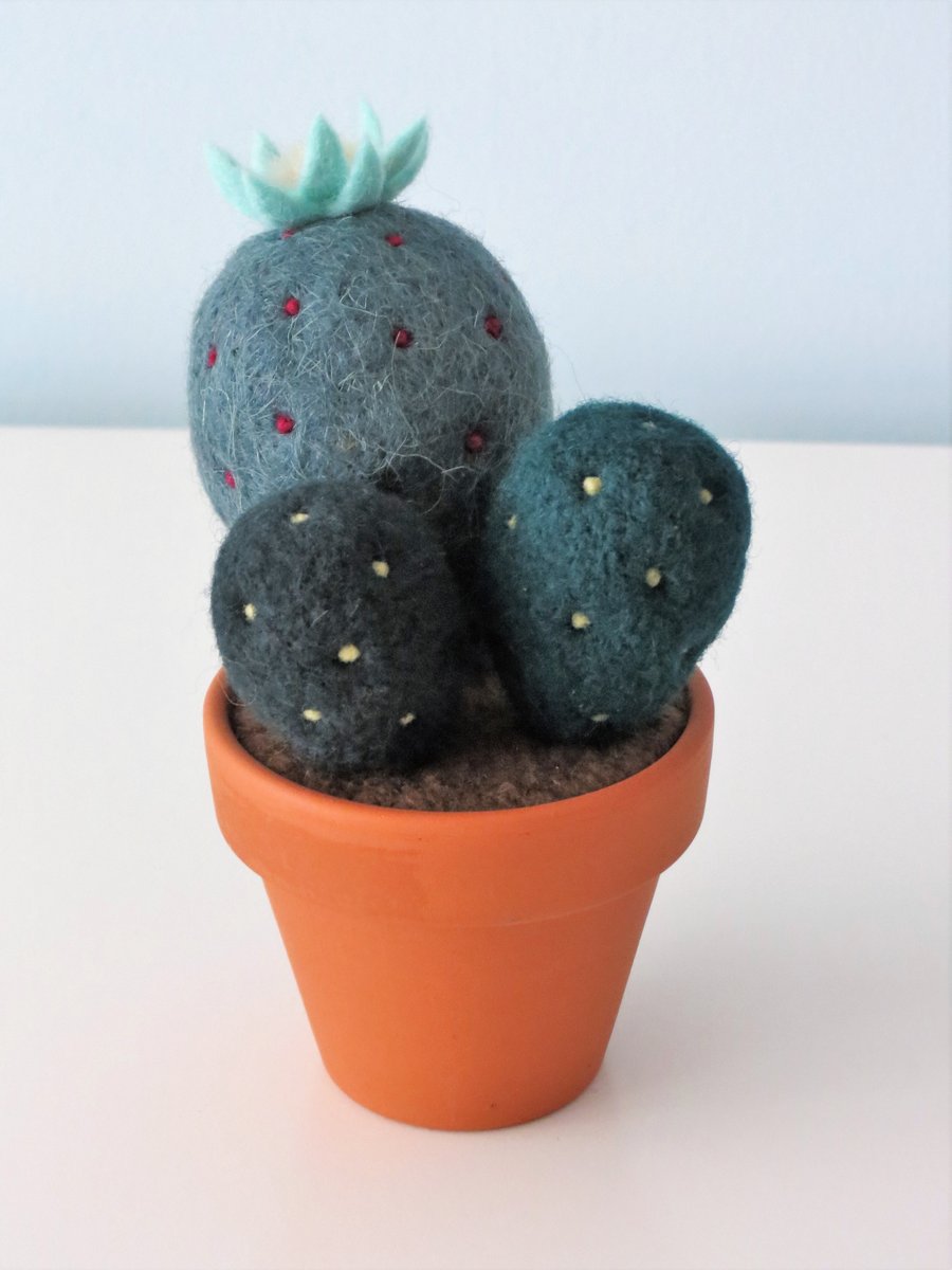 Merino Wool Needle Felted Succulent