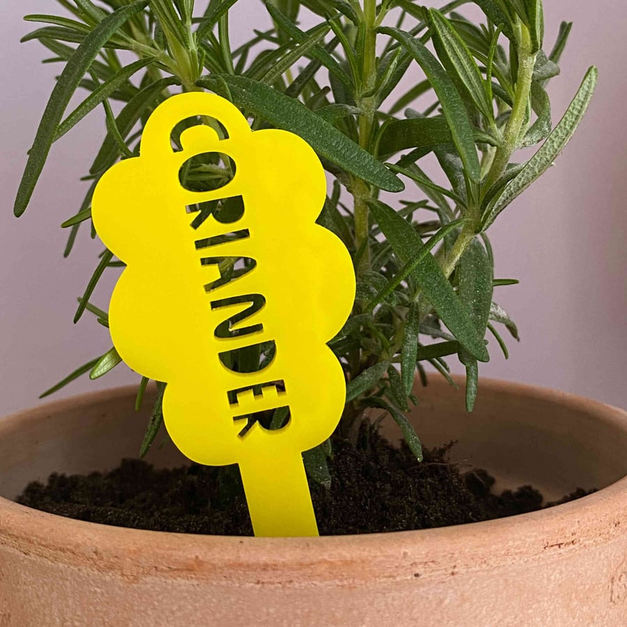 Coriander herb marker, cheerful plant mum gifts for gardeners, made in Yorkshire