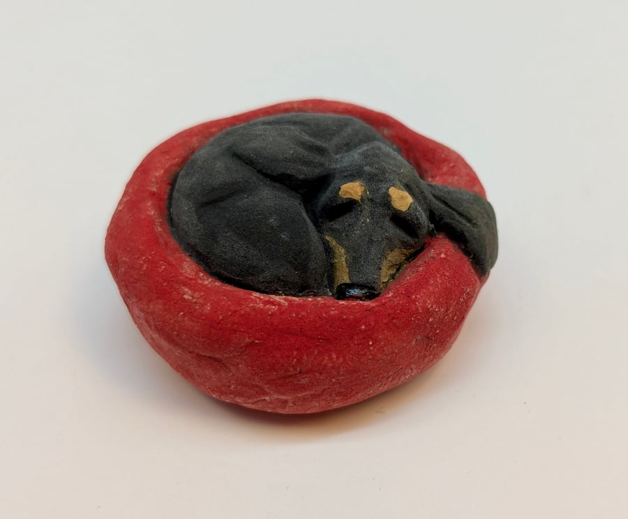 Yorkshire Pudding Dachshund 