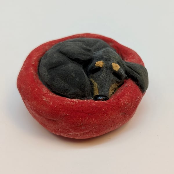 Yorkshire Pudding Dachshund 