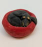 Yorkshire Pudding Dachshund  - Image 1
