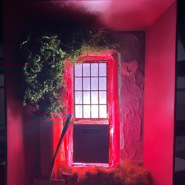 The Pink Cottage Miniature Door Diorama Unique Hand Painted Mixed Media Wall Art