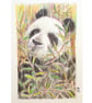 Little panda drawing, letterbox art gift, original drawing - Image 6