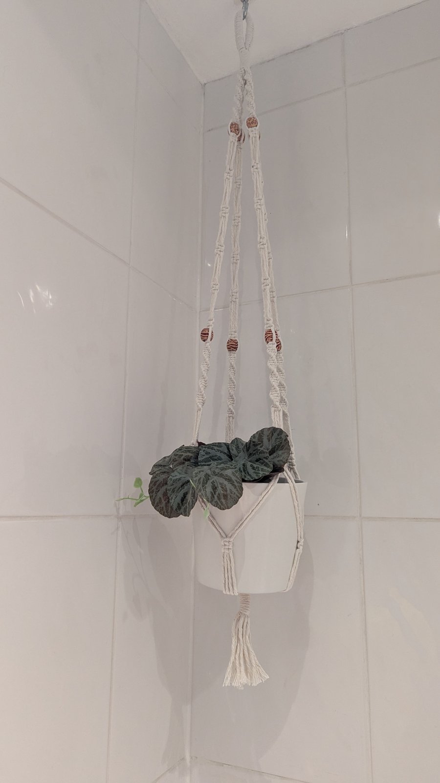 Plant pot hanger - white