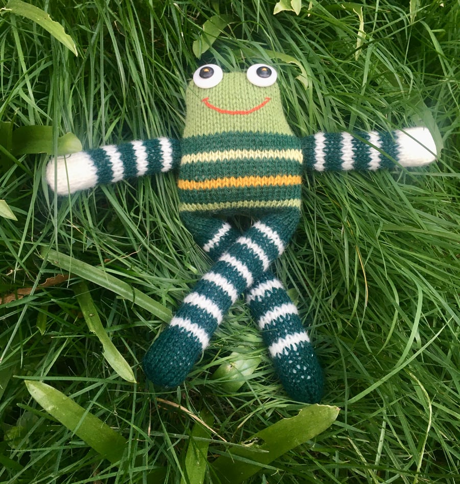 Frog had knitted doll