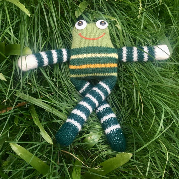 Frog had knitted doll