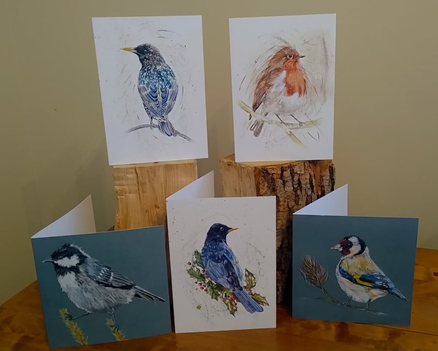 Mixed pack of 5 Greetings Cards, Garden Bird Selection