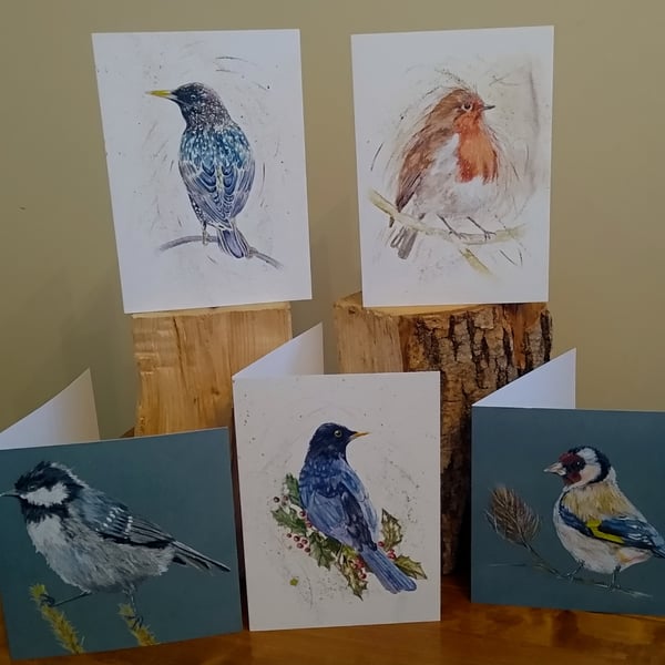 Mixed pack of 5 Greetings Cards, Garden Bird Selection