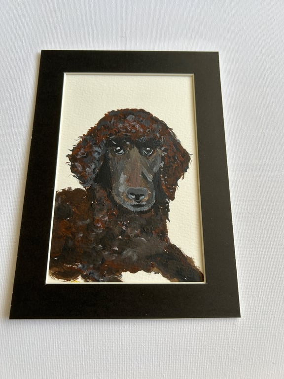 Poodle portrait. Original painting 5x7" 