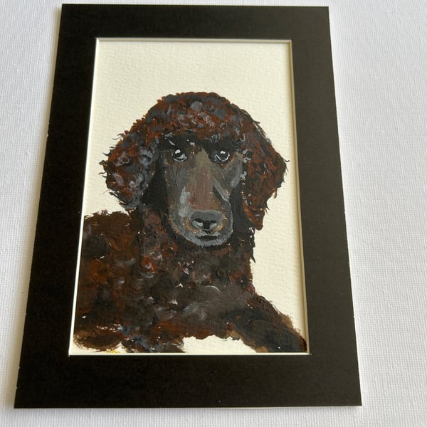 Poodle portrait. Original painting 5x7" 