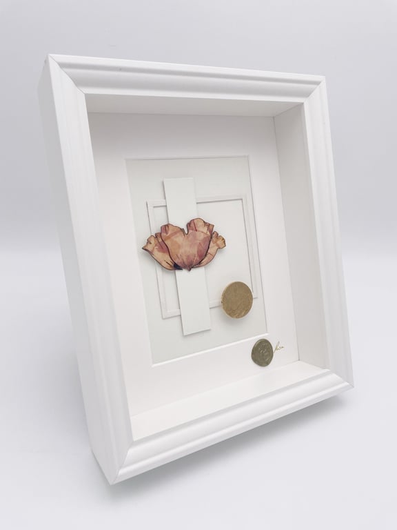 Coquelicot – Herbier Collection