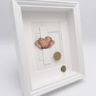 Coquelicot – Herbier Collection