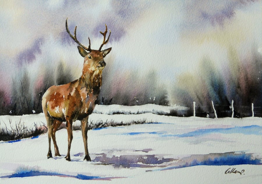 Stag in Snow, Original Watercolour Painting.