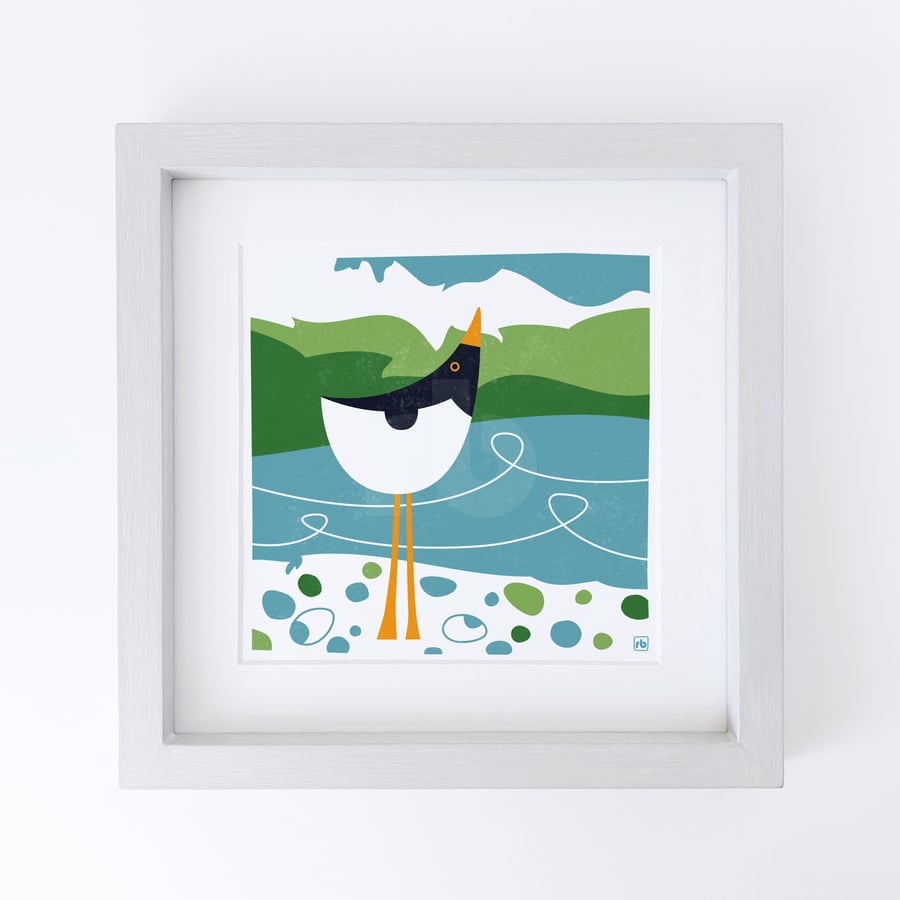 Oystercatcher And Pebbles, bird illustration, Giclee print